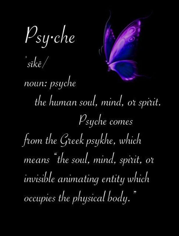 Picture has a butterfly. Definition: Psyche is Greek for soul. An invisible animating entity.
